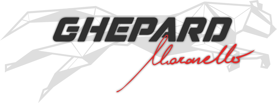 Wave Italy GHEPARD MARANELLO LOGO